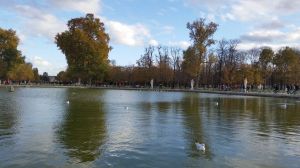Lake in Tuileries garden